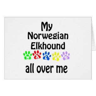 Diseño de caminatas de elkhound noruego