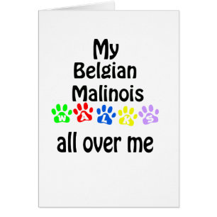 Diseño de caminatas malinois en Bélgica