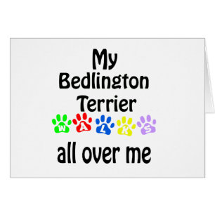 Diseño de Caminos Terrier de Bedlington