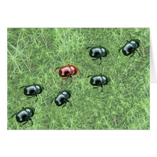 Diseño de escarabajo