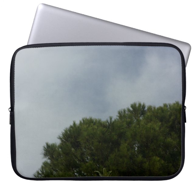 DISEÑO DE ESTILO DE FUNDAS PARA LAPTOP (Frente)