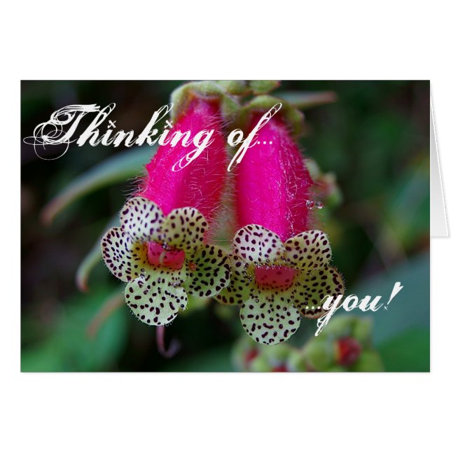 Diseño de flores leopardo (Anverso (Horizontal))