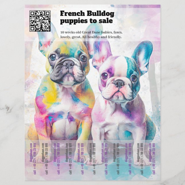 Diseño de folleto para vender cachorros Frenchie (Frente)