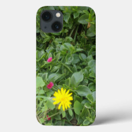 DISEÑO DE FOTOGRAFÍAS DE APPLE iPHONE 13 FUNDAS