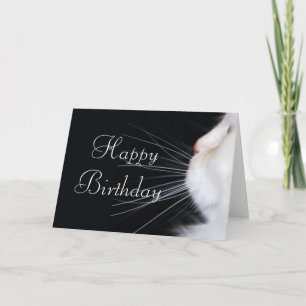 Diseño de Gato Blanco 1 Tarjeta de felicitación de