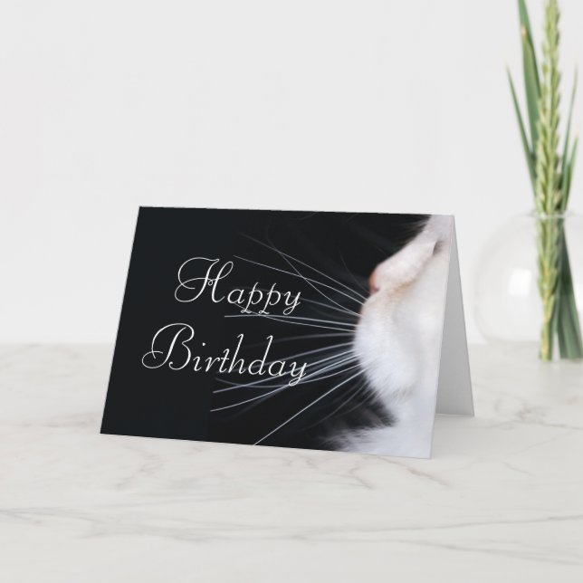 Diseño de Gato Blanco 1 Tarjeta de felicitación de (Anverso)