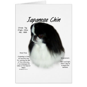 Diseño de historia china en japonés