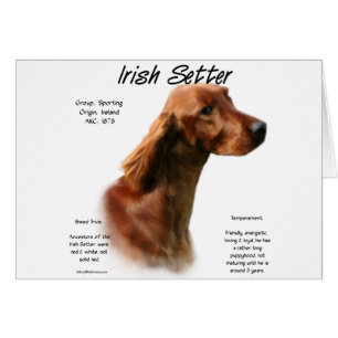 Diseño de historia de asentamientos irlandeses