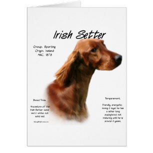 Diseño de historia de asentamientos irlandeses