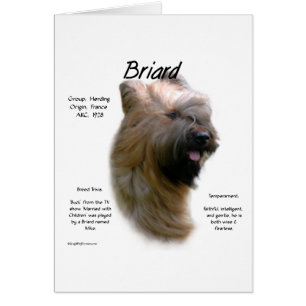 Diseño de historia de Briard (tawny)