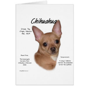 Diseño de historia de Chihuahua (suave)