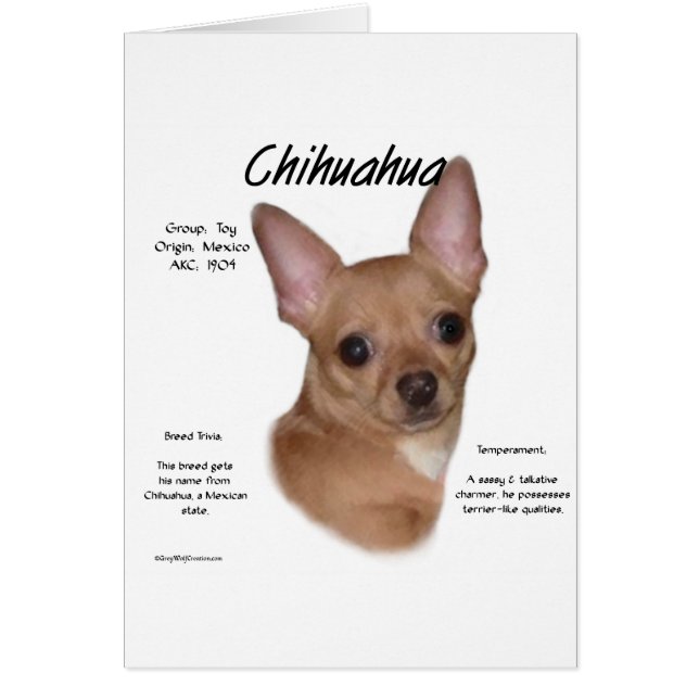 Diseño de historia de Chihuahua (suave) (Frente)