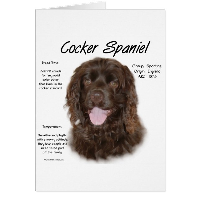Diseño de historia de Cocker Spaniel (brn) (Frente)