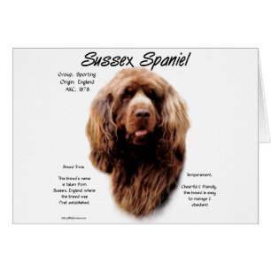 Diseño de historia de español de Sussex