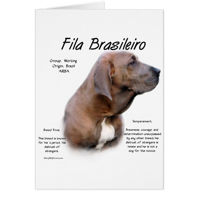 Diseño de historia de Fila Brasileiro (Frente)