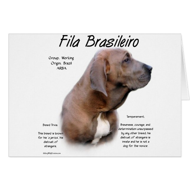Diseño de historia de Fila Brasileiro (Anverso (Horizontal))