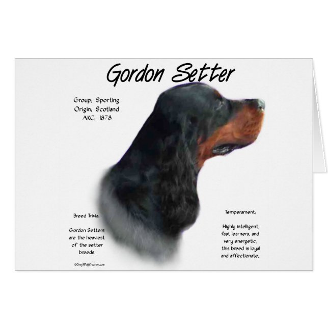 Diseño de historia de Gordon Setter (Anverso (Horizontal))