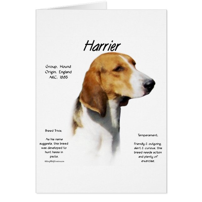 Diseño de historia de Harrier (Frente)