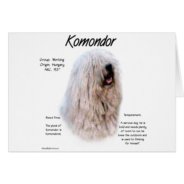Diseño de historia de Komondor (Anverso (Horizontal))