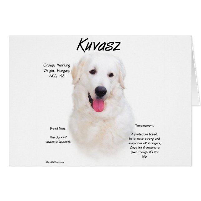 Diseño de historia de Kuvasz (Anverso (Horizontal))