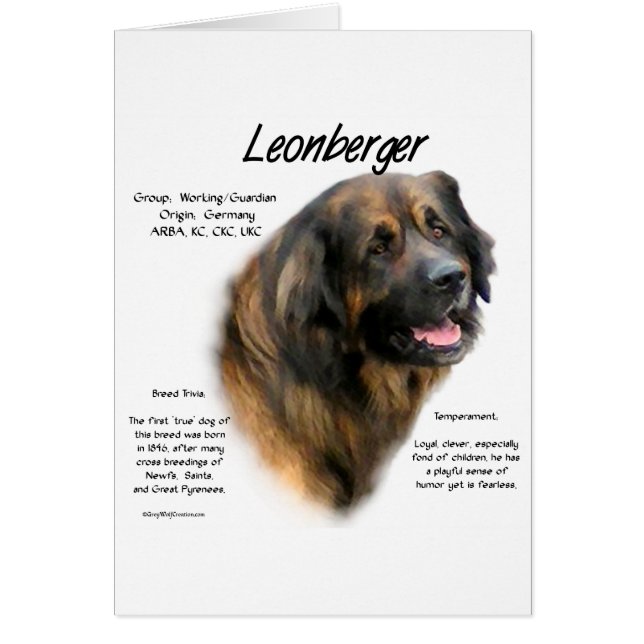 Diseño de historia de Leonberger (Frente)