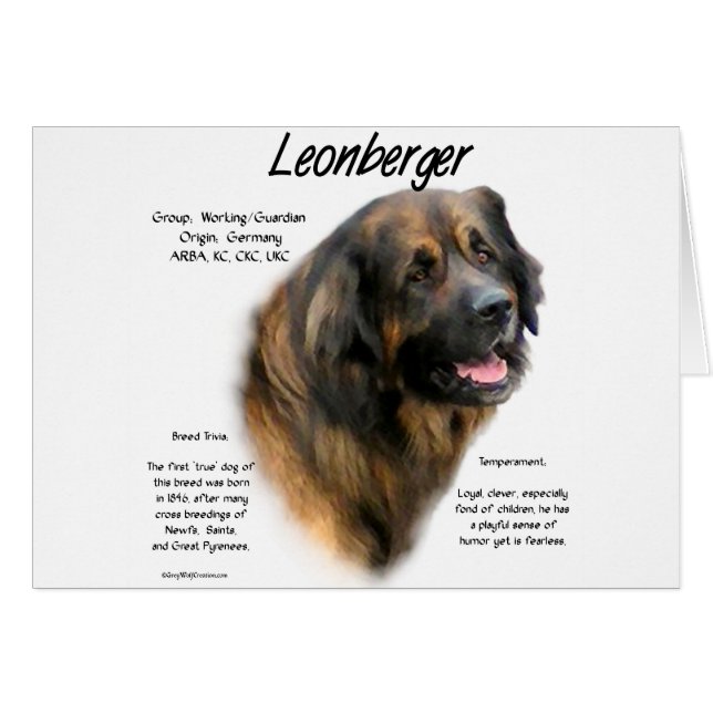 Diseño de historia de Leonberger (Anverso (Horizontal))