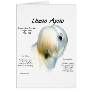 Diseño de historia de los simios de Lhasa