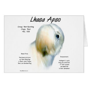 Diseño de historia de los simios de Lhasa
