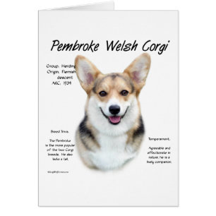 Diseño de historia de Pembroke Welsh Corgi