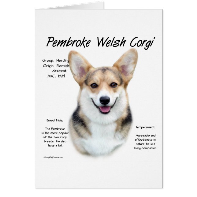 Diseño de historia de Pembroke Welsh Corgi (Frente)