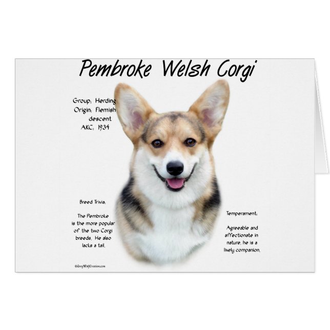 Diseño de historia de Pembroke Welsh Corgi (Anverso (Horizontal))