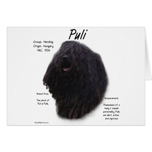 Diseño de historia de Puli (Anverso (Horizontal))