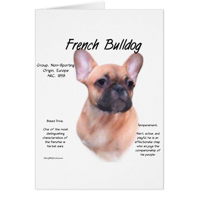 Diseño de historia del Bulldog francés (Frente)