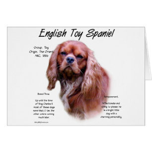 Diseño de historia del juguete inglés Spaniel (rub