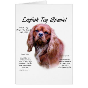 Diseño de historia del juguete inglés Spaniel (rub