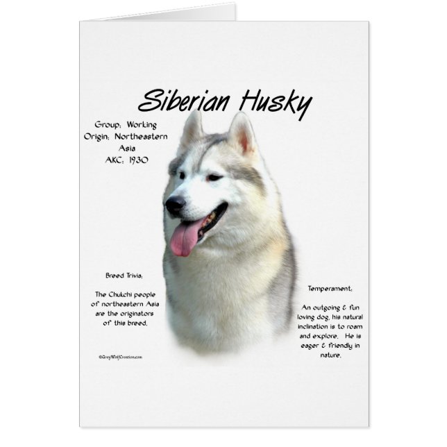 Diseño de historia Husky Siberiano (Frente)