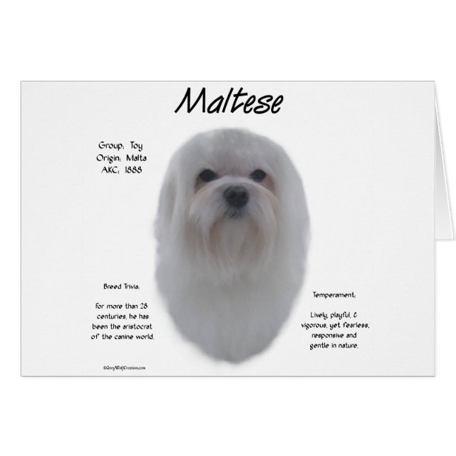 Diseño de historia maltesa (Anverso (Horizontal))