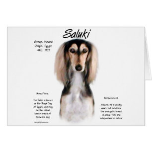 Diseño de historia Saluki
