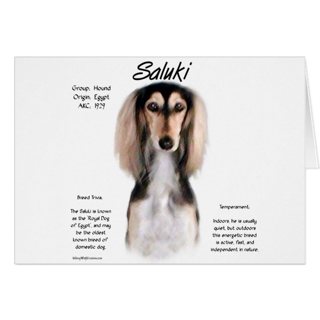 Diseño de historia Saluki (Anverso (Horizontal))