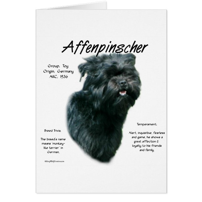 Diseño de historial de Affenpinscher (Frente)