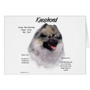 Diseño de historial de Keeshond
