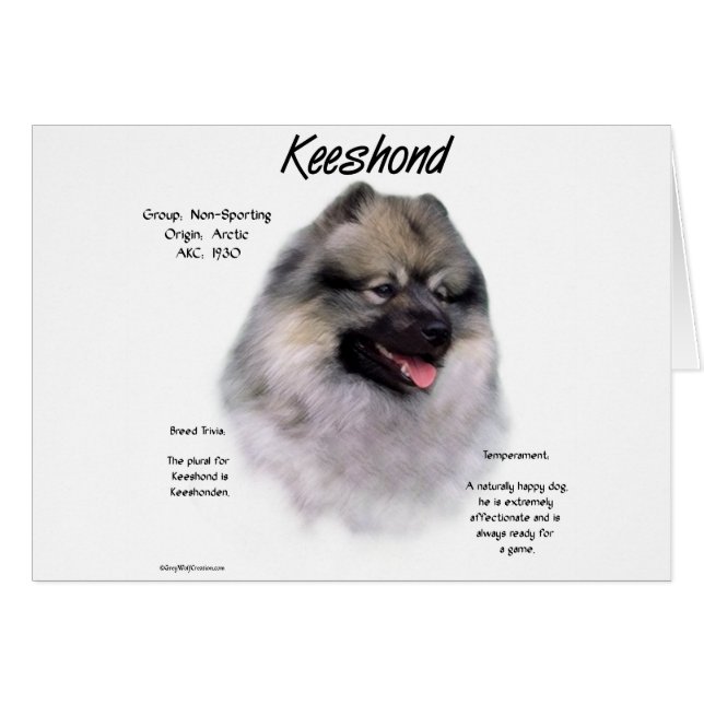 Diseño de historial de Keeshond (Anverso (Horizontal))