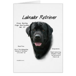 Diseño de historial de Labrador Retriever (blk)