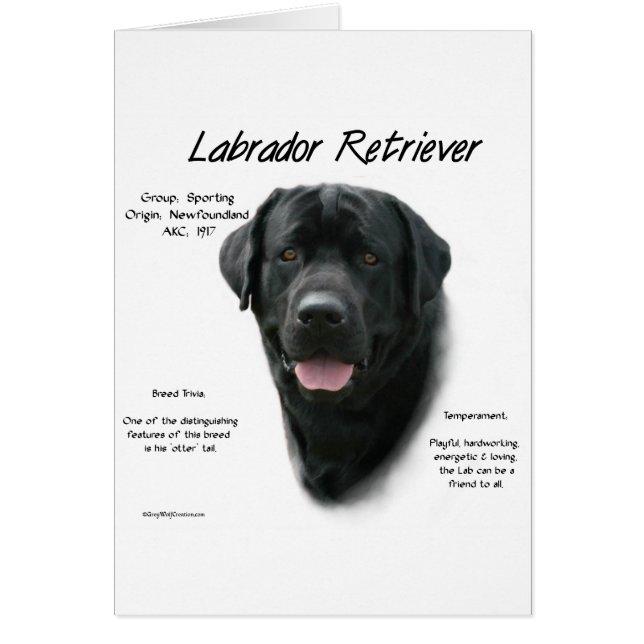 Diseño de historial de Labrador Retriever (blk) (Frente)