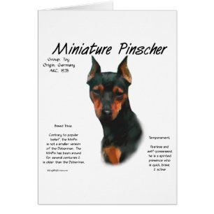 Diseño de historial de Pinscher en miniatura (negr
