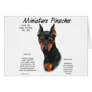 Diseño de historial de Pinscher en miniatura (negr