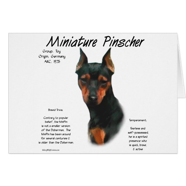 Diseño de historial de Pinscher en miniatura (negr (Anverso (Horizontal))