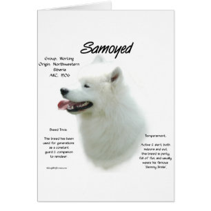 Diseño de historial de Samoyed