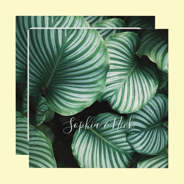 Diseño de hoja grande de clase, nombre(s), mensaje (Subido por el creador)