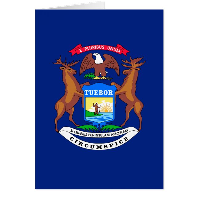 Diseño de la bandera del estado de Michigan (Frente)